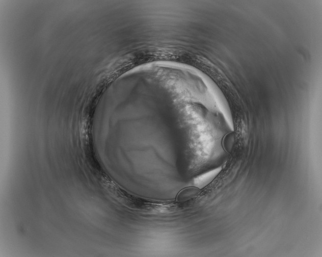 X0000112910663200909211032
