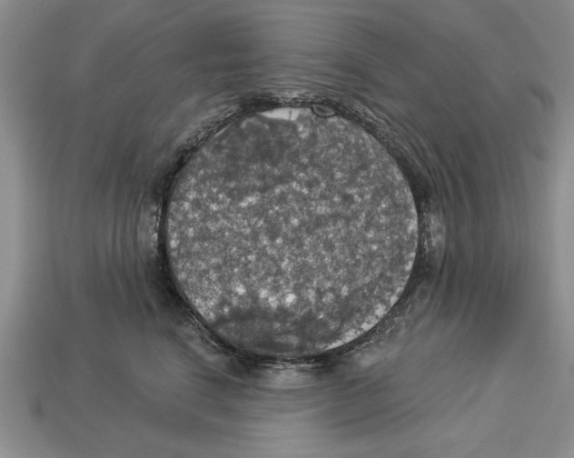 X0000112910664200909211032