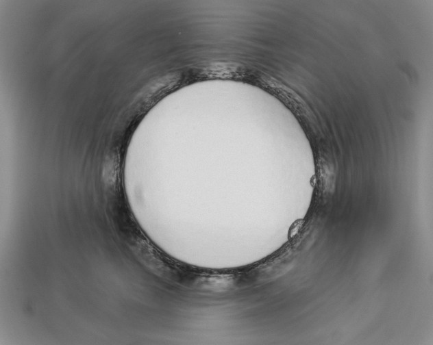 X0000112910665200909211032
