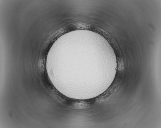 X0000112910666200909211032