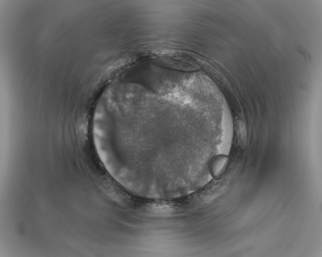 X0000112910668200909211032