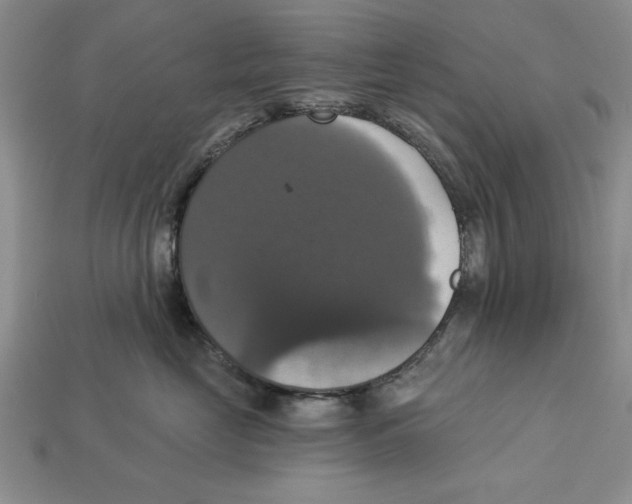 X0000112910669200909211032
