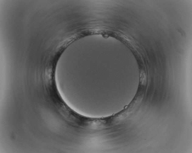 X0000112910670200909211032
