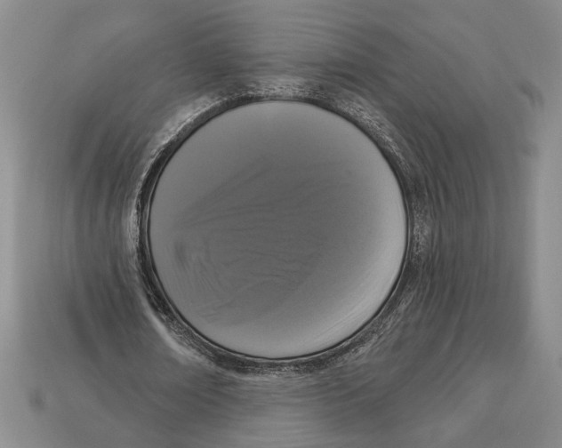 X0000112910674200909211032