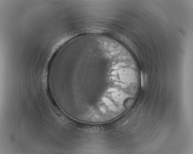 X0000112910675200909211032