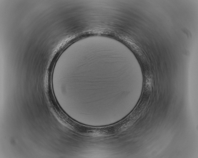 X0000112910678200909211032