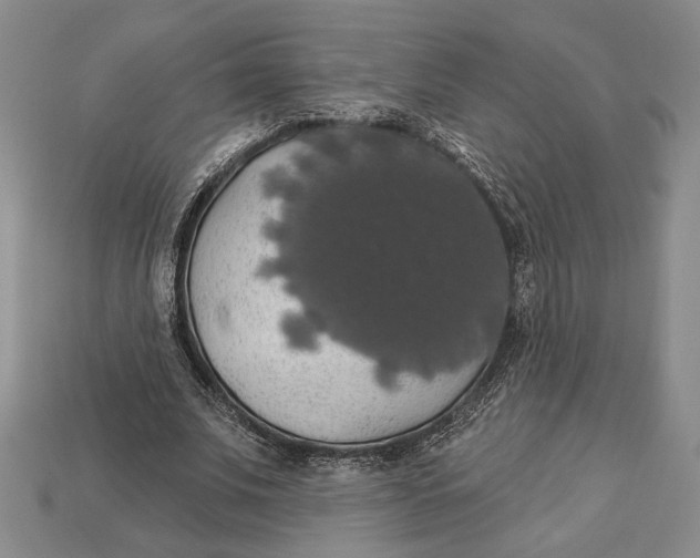 X0000112910679200909211032