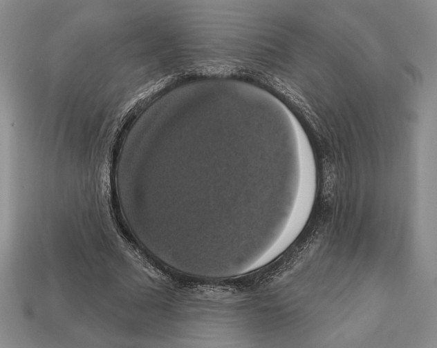 X0000112910681200909211032