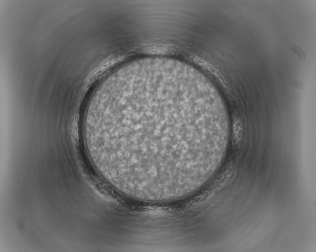 X0000112910682200909211032