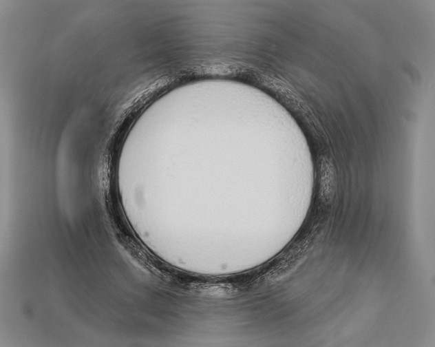 X0000112910683200909211032