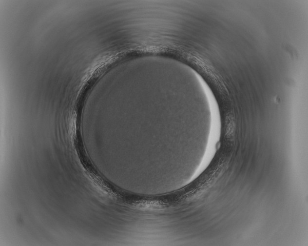 X0000112910685200909211032
