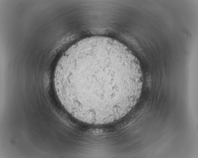X0000112910687200909211031