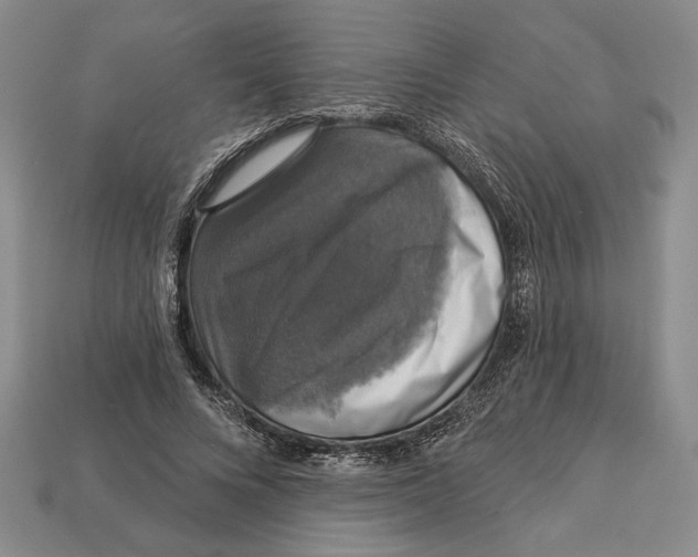 X0000112910688200909211031