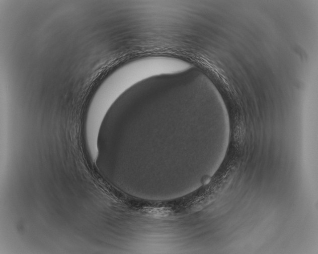 X0000112910689200909211031
