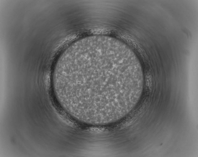 X0000112910690200909211031
