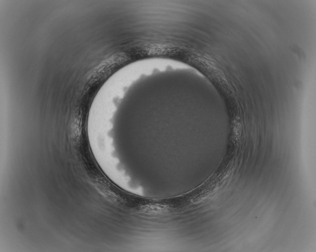 X0000112910691200909211031