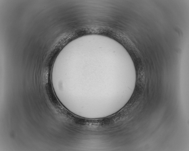 X0000112910694200909211031