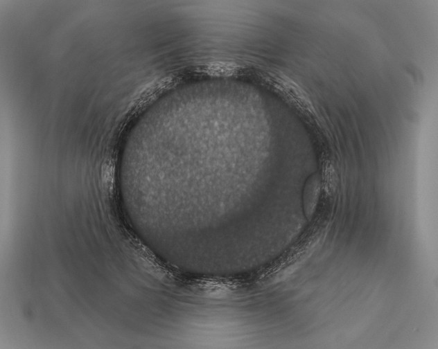 X0000112910697200909211031