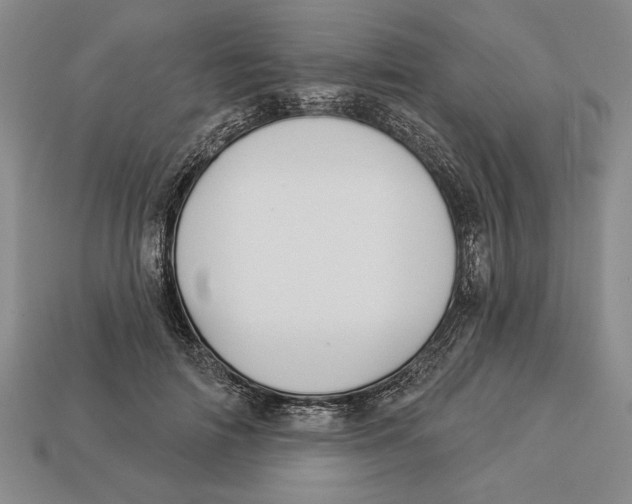 X0000112910698200909211031