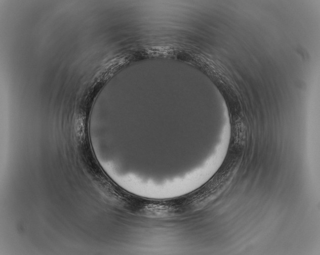 X0000112910699200909211031
