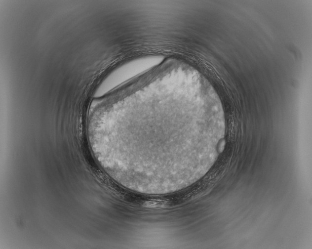 X0000112910700200909211031
