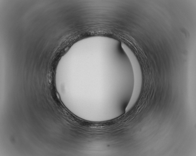X0000112910701200909211031