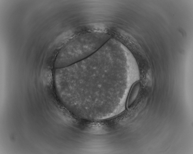 X0000112910704200909211031