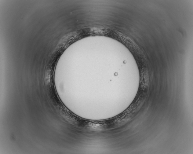 X0000112910706200909211031