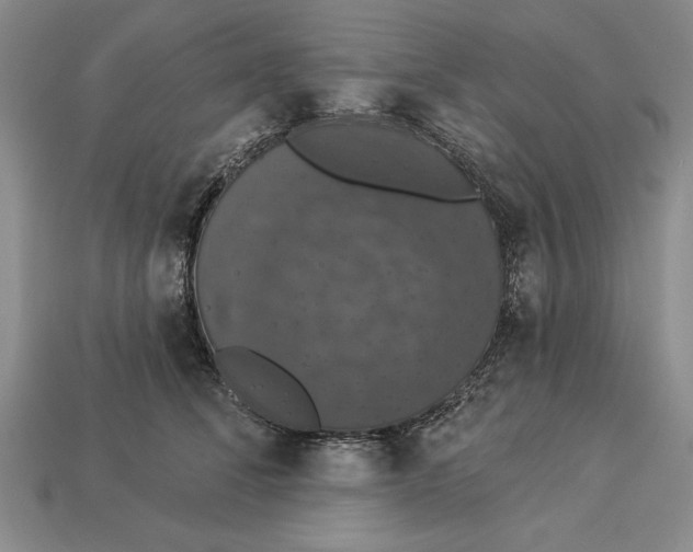 X0000112910708200909211031
