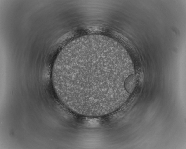 X0000112910710200909211031