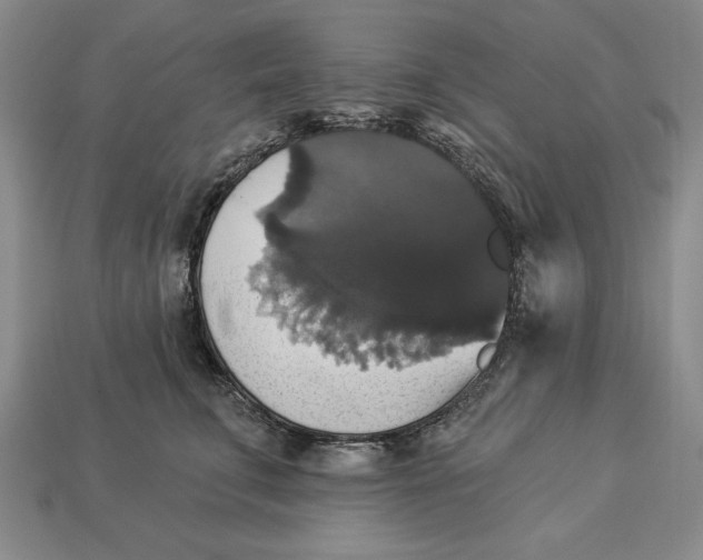 X0000112910711200909211031