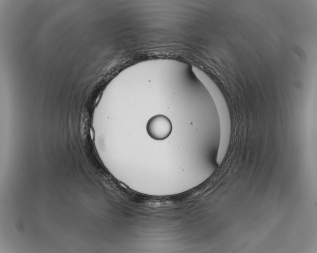 X0000112910712200909211031
