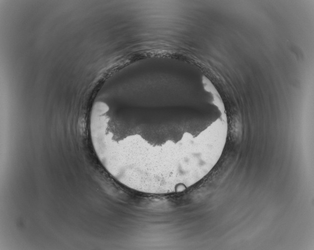 X0000112910715200909211031