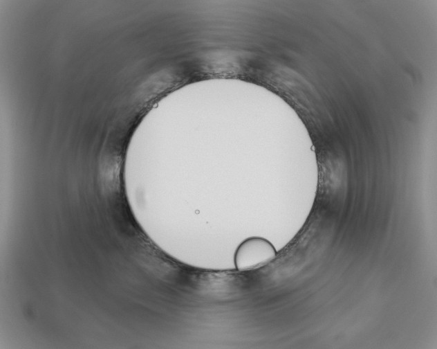 X0000112910717200909211031