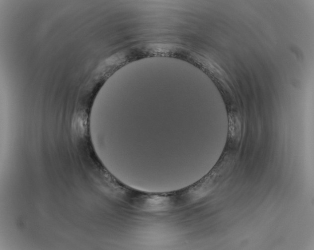 X0000112910718200909211031