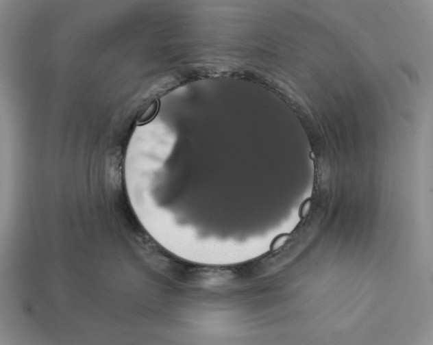 X0000112910719200909211031