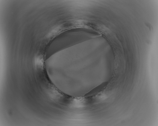X0000112910720200909211031