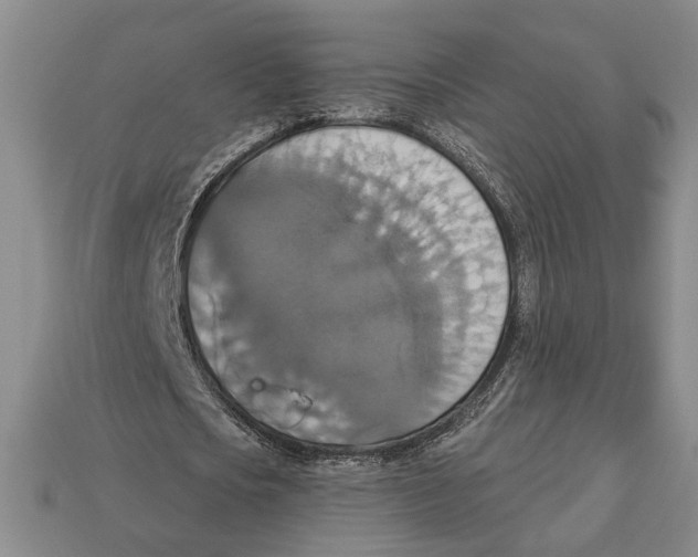 X0000112910721200909211030
