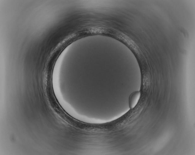 X0000112910722200909211030