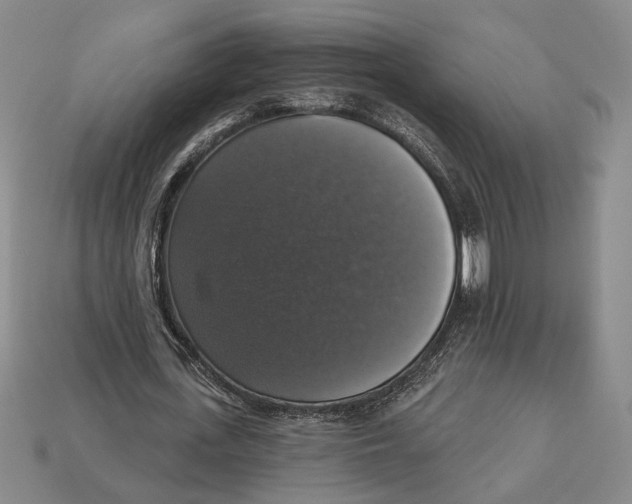 X0000112910723200909211030