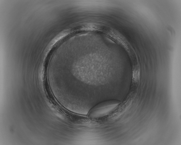 X0000112910724200909211030