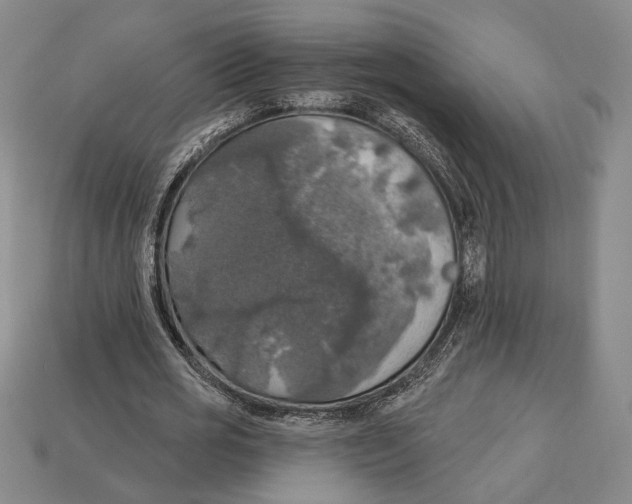 X0000112910725200909211030