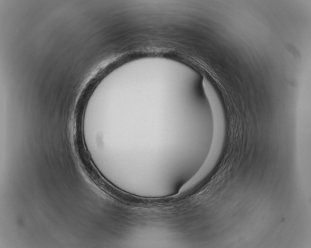 X0000112910726200909211030