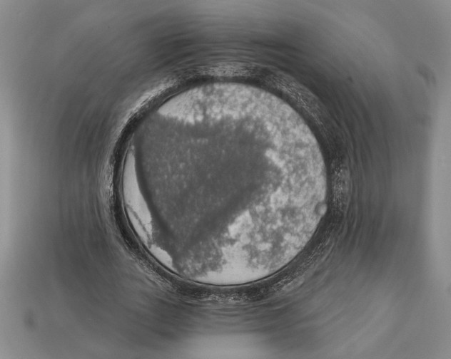 X0000112910727200909211030