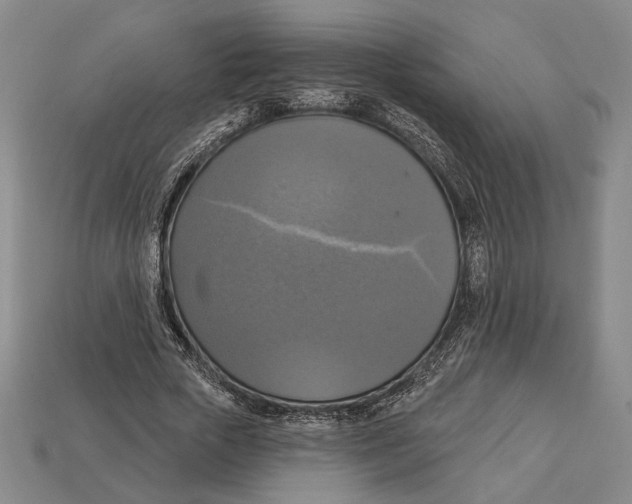 X0000112910729200909211030