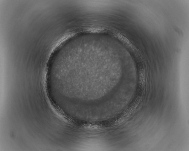X0000112910730200909211030