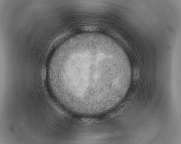 X0000112910733200909211030