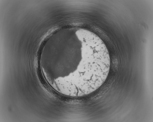 X0000112910734200909211030
