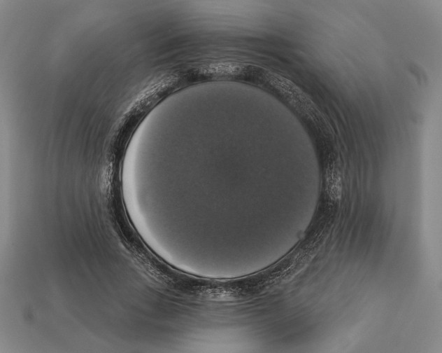 X0000112910735200909211030