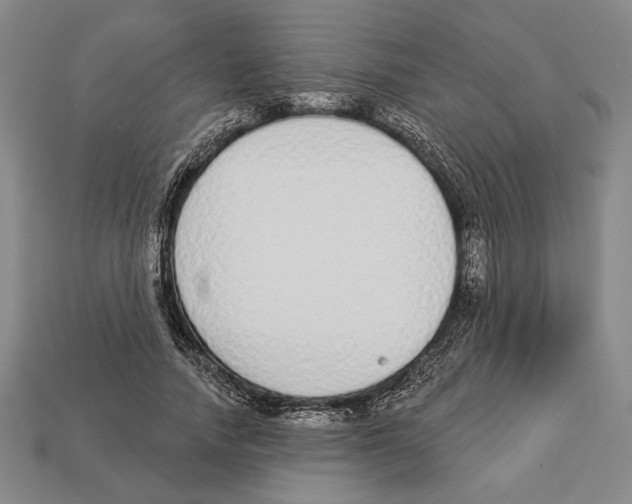 X0000112910738200909211030